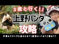 【上野動物園パンダ】3歳と行く攻略法!最短ルート/待ち時間/ランチは?🐼🐼