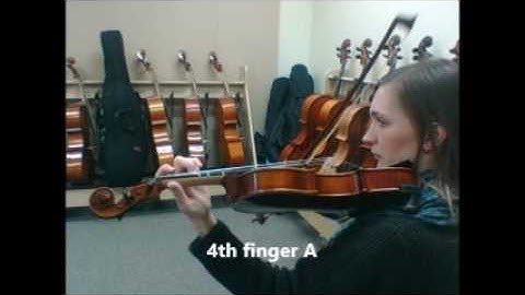 Swallowtail Jig Viola B