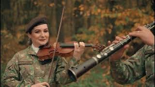 Fratii Fernea cu Formatiile Clasic si Argus SM   Hanul Marioarei 4K