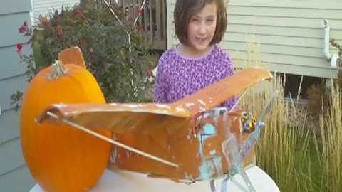 RCDOX 2011 WINGS flying in trees scratch built RC plane