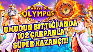 ⚡GATES OF OLYMPUS 500x ⚡   Zorladık Söke Söke Aldık! Rekor!| #gatesofolympus