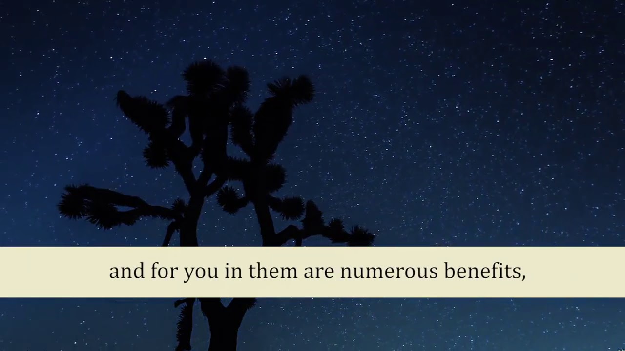 Juz 18 Quran with enlish audio translation