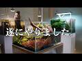 アクアリウム動画を始めて5年が経過して遂にやりました。