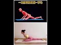 One move to help you quickly become a horse #yoga#shorts#Chinese