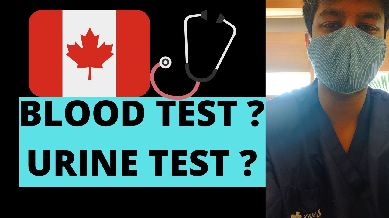  CANADA MEDICAL TEST FOR STUDENT VISA Piyush Canada YouTube