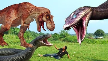 Anaconda Snake Attack In Real Life | Part 14 | Snakes