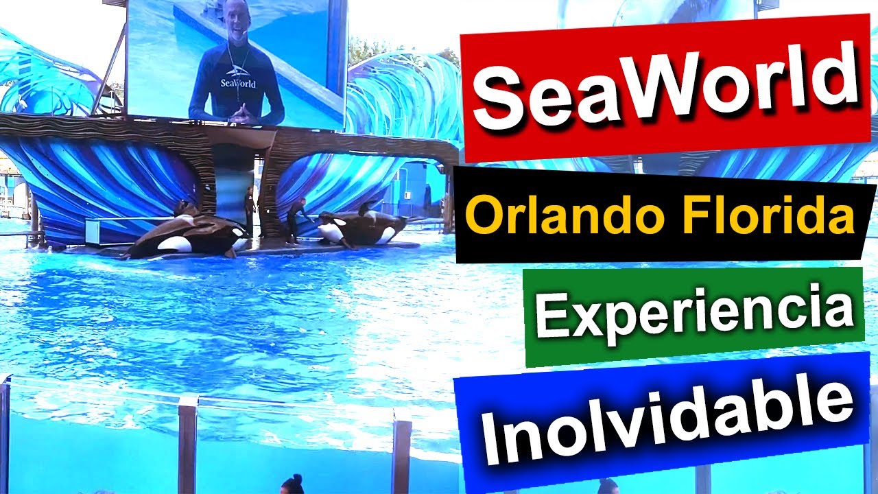 Visita a Sea World en Orlando Florida, Mundo Marino parque de animales