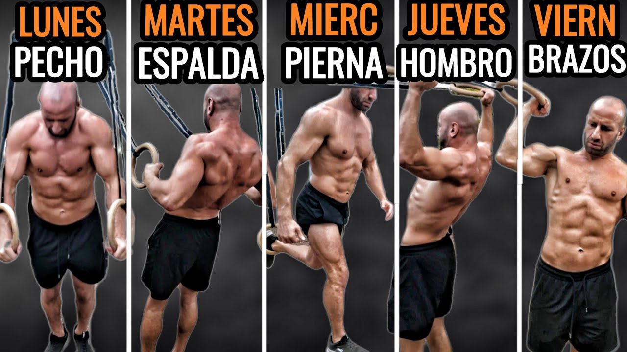 RUTINA de 5 DIAS con ANILLAS para ganar MUSCULO 💪