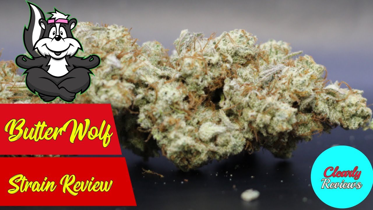BUTTER WOLF By Teaming With Terps STRAIN REVIEW