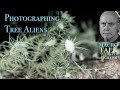 Photographing Tree Aliens - Macro Talk #67-  A. Walls Photography, October 31, 2023
