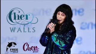 Cher Prayers for This World & Walls (2020 Remastered 3D Versions)