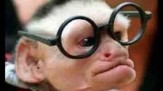 Random Funny Stuff 2