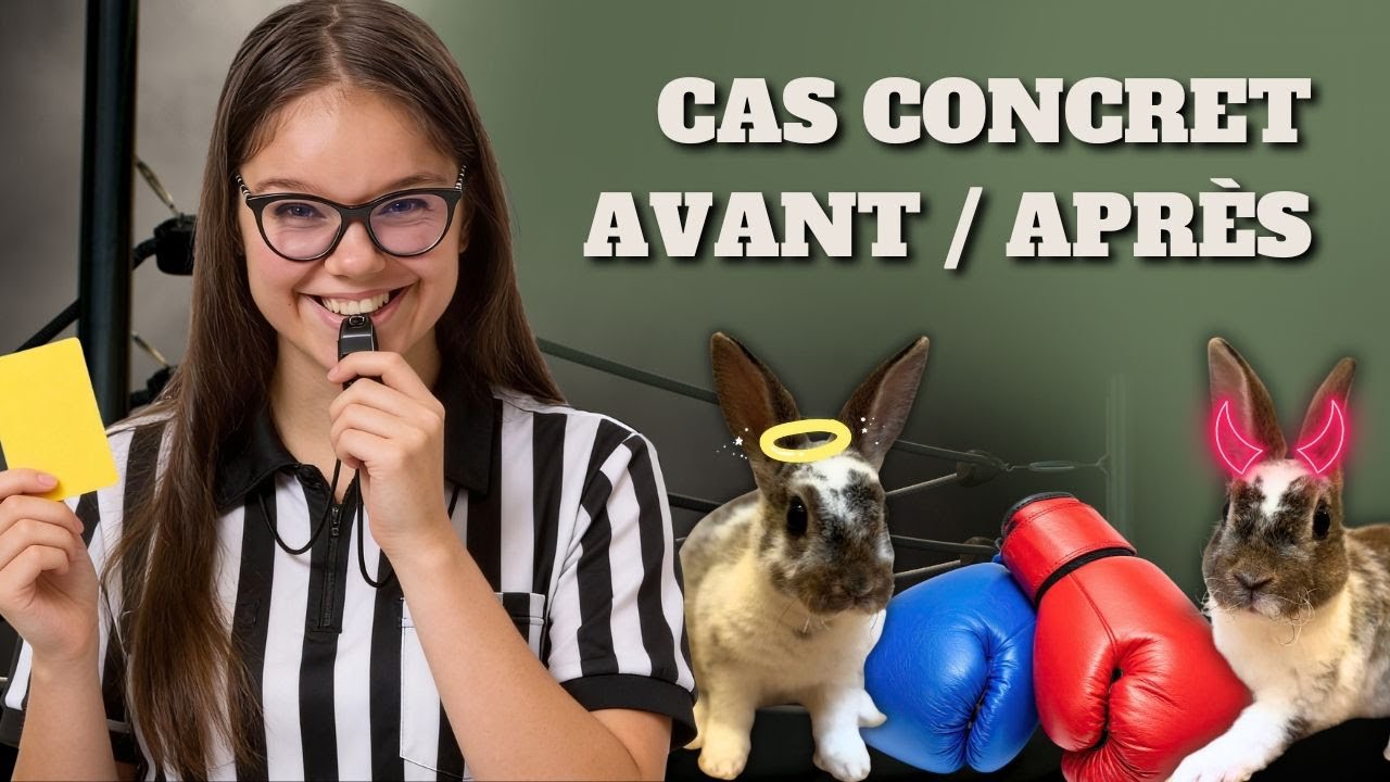 RÉUSSIR la cohabitation de tes lapins 🥊