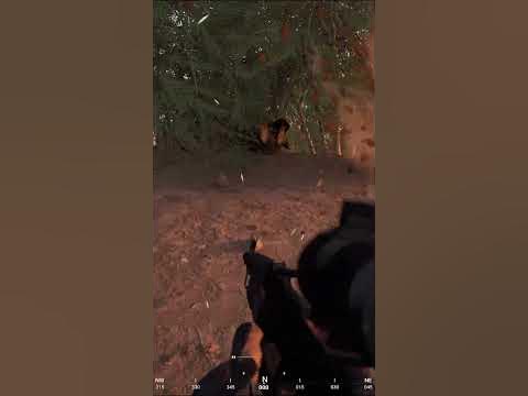 #squad #сквад #тактическийшутер - YouTube