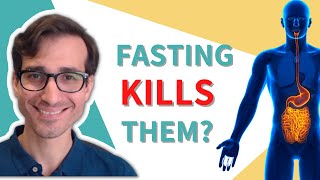 Does fasting Kill your good microbiota?