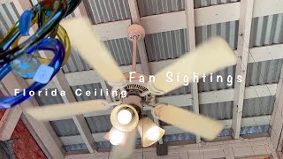 Florida Ceiling Fan Sightings (2021)  Remaking My Most Popular Video!