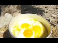 موزیک ویدئو موزیک ویدئو