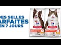 Croquettes hills science plan perfect digestion pour un transit optimal