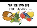 Basic Nutrition and Macro - Nutrients Video Animation by Train With Kane