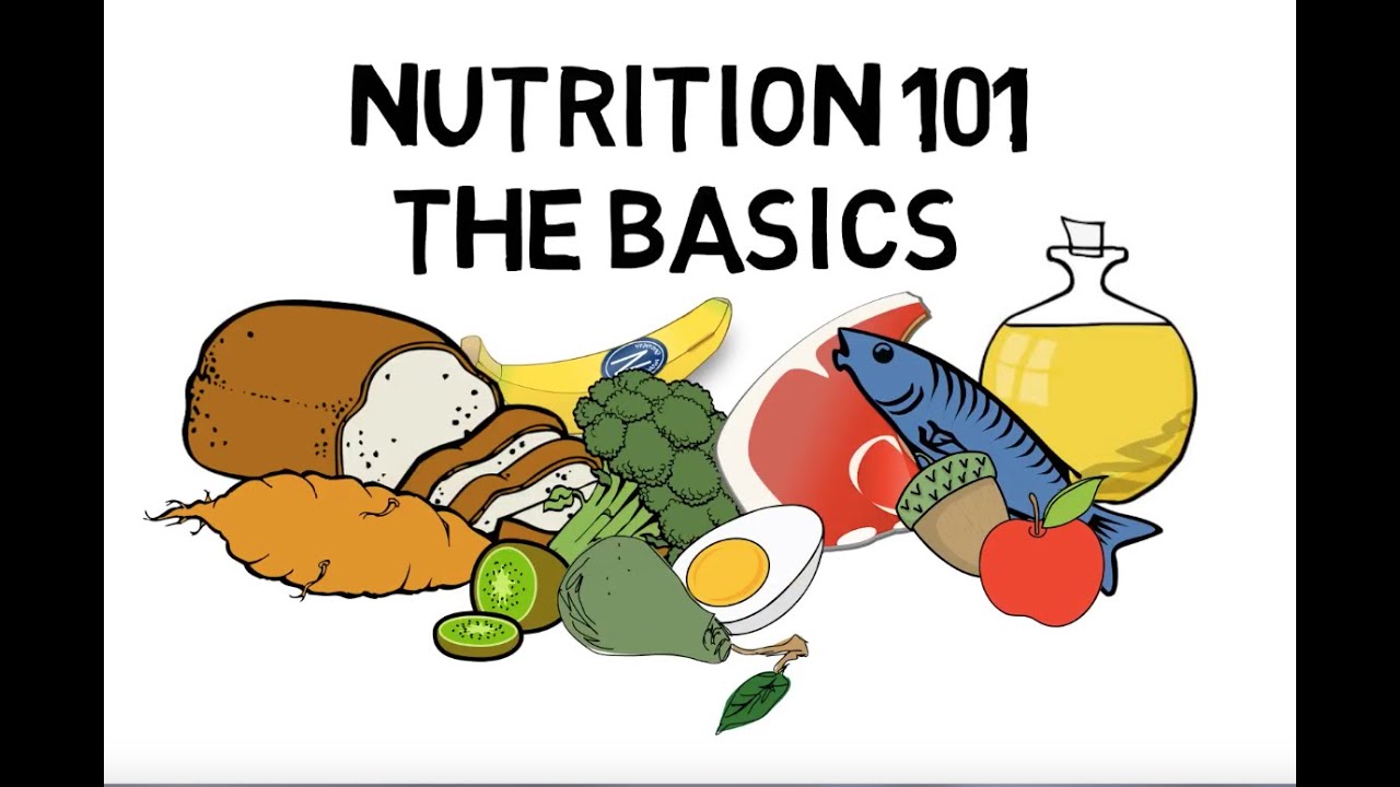 Basic Nutrition and Macro - Nutrients Video Animation by Train With