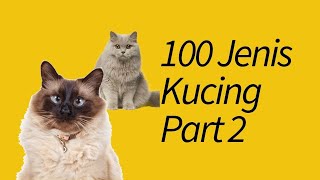 100 Jenis Kucing di Seluruh Dunia! Part 2 by MeowCitizen 12,684 views 3 years ago 8 minutes, 29 seconds