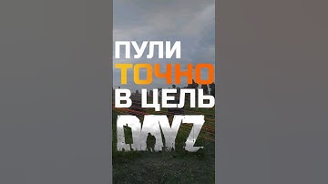 Dayz Life hack | Пули в точку Дейз #dayz #dayzpvp #дейз