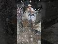 水圧で井戸掘り 関連動画に本編があります