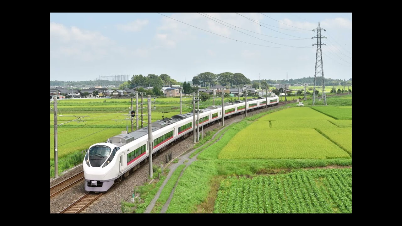 E657系 モハE657-205形 品川→(特急 ときわ59号)→勝田