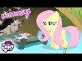 My Little Pony en español 🦄 Mejores momentos de Fluttershy | La Magia de la Amistad | Completo