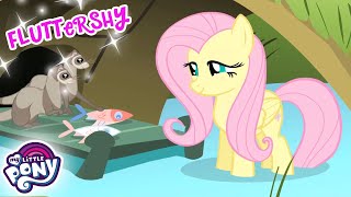 My Little Pony en español  Mejores momentos de Fluttershy | La Magia de la Amistad | Completo