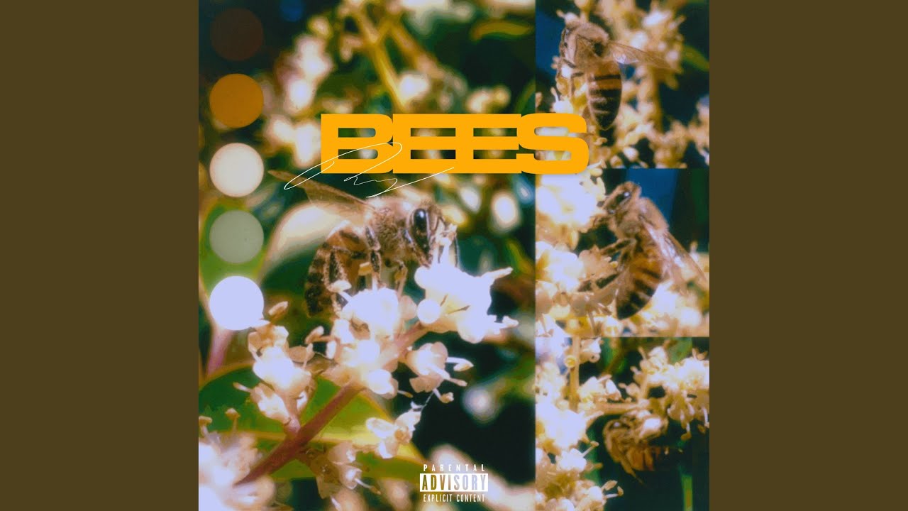Watch Bees on YouTube Watch Bees on YouTube