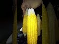 Rat ko khaya bhutta(🌽) CVO pr.#trending #cvo #bhutta #corn