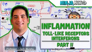 Immunology | Inflammation: Toll Like Receptors and Interferons: Part 4