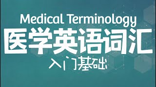 [医学英语词汇] 22 五十五个消化系统相关词汇上 Medical Terminology: Digestive System Part 1｜如何拆分医学英语｜词汇入门基础篇｜词根词缀及构词成分精讲