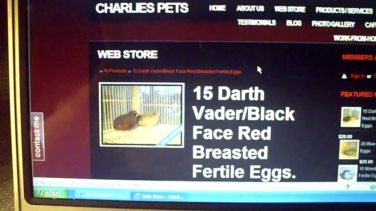 My Own Website CHARLIES PETS..:0