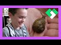 WHO WANTS A PET SNAIL? (Day 1783
