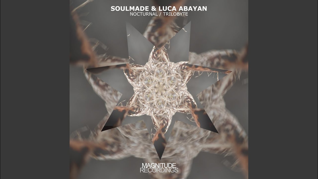 Mira Nocturnal en YouTube Mira Nocturnal en YouTube