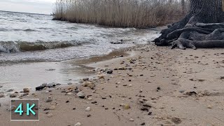 Pebbles On Beach - Lapping Waves - 10 Hours Bay Water Sounds - Nature Background Scene - 4K - March