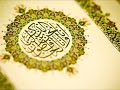 Surah Al Zumar سورة الزمر القارئ عبد الرزاق الدليمي قراءة عراقية تصويرية Surah Al Zumar سورة الزمر القارئ عبد الرزاق الدليمي قراءة عراقية تصويرية