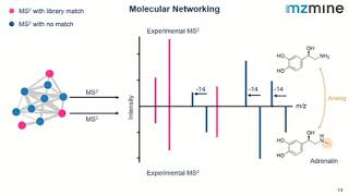 2024-W3: Untargeted Metabolomics, Mol. Networking/Automatic Spectral Library Generation in MZmine