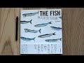 The Fish - Yusei Nagashima Illustration Book Review 魚と出会う図鑑 長嶋祐成 イラスト集