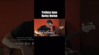 Fretless bass @HarleyBentonOfficial #кабацкийбасист