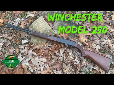 Winchester Model 250 | Lever Action 22 LR