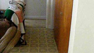 Balloon Beast Attacks wes Wife Says Hes Mean