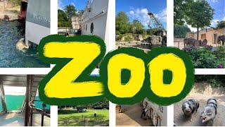 Ганноверский зоопарк/ Erlebnis-Zoo Hannover/ Зоопарк в Германии
