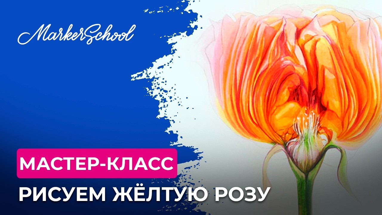 Мастер-класс 