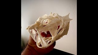 CONSERVAR CRANEO CAP ROIG