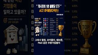 ACE 미국배당다우존스