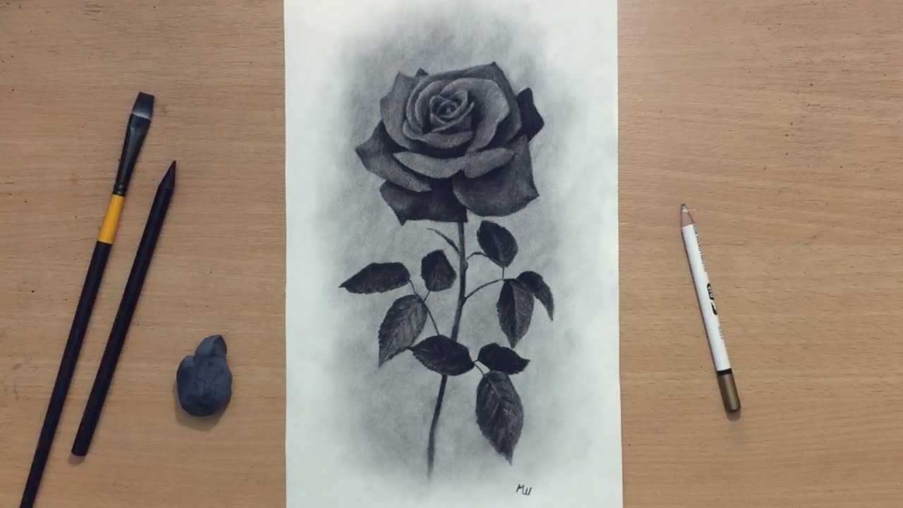Charcoal Drawing of a Rose - YouTube