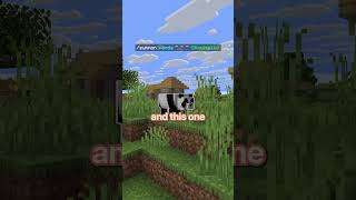 craziest minecraft commands!